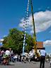 KIF_0257.JPG